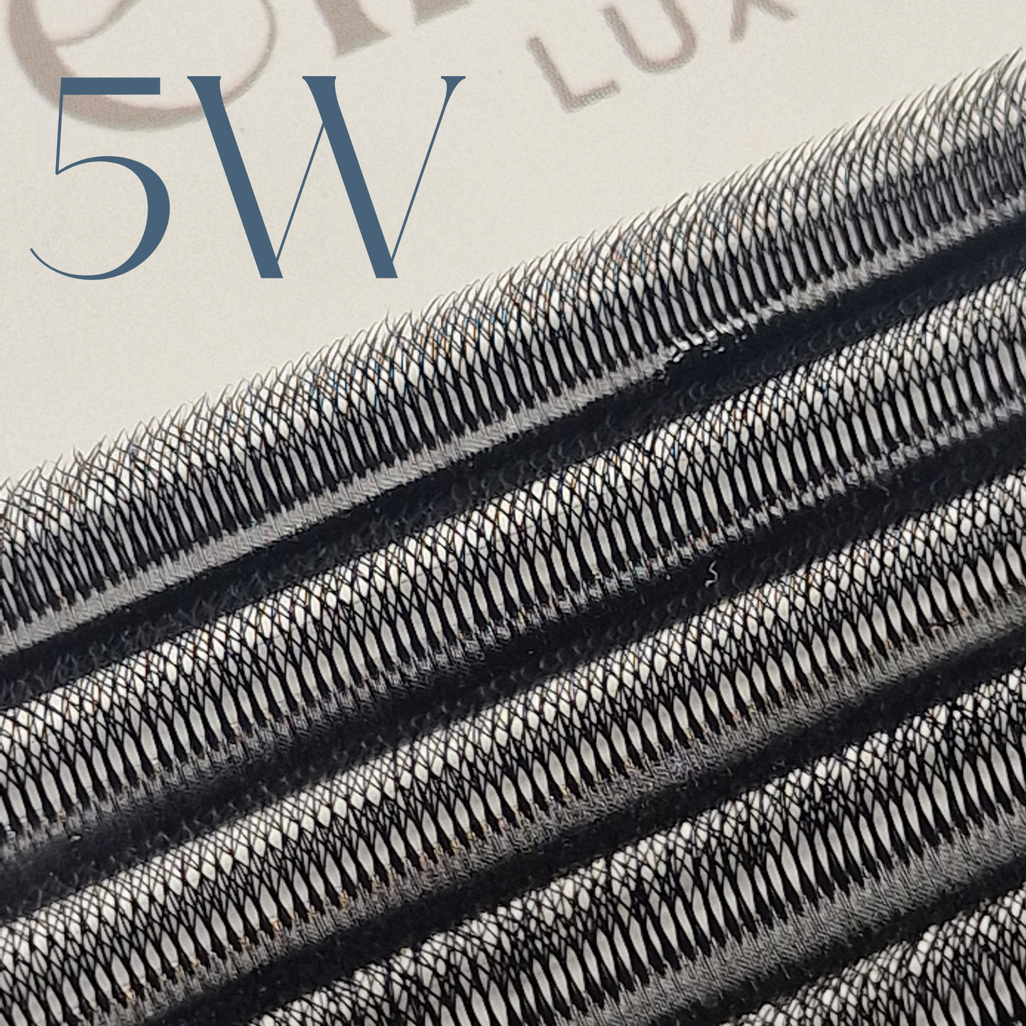 Brazilian Volume –  Fibra Tecnologica PBT Coreana | b.ellelux